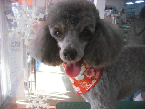 ファイル 2562-1.jpg