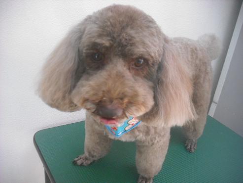 ファイル 2563-1.jpg