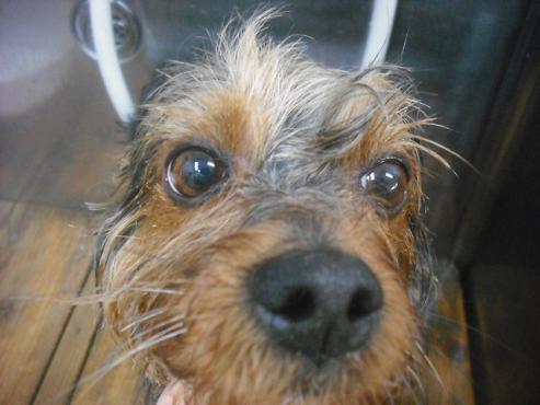 ファイル 2565-2.jpg