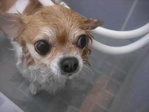 ファイル 2567-2.jpg