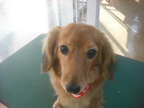 ファイル 2568-1.jpg