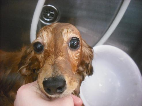 ファイル 2568-2.jpg