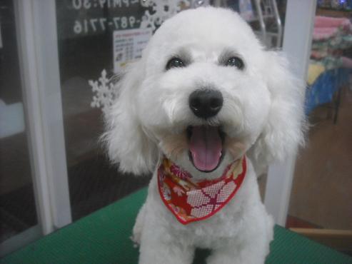 ファイル 2569-1.jpg