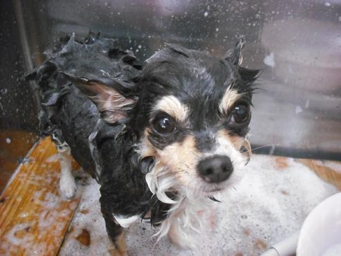 ファイル 257-2.jpg