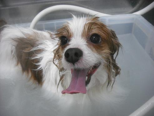 ファイル 2571-2.jpg