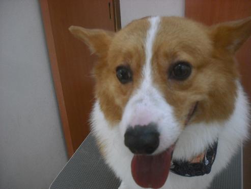 ファイル 2573-1.jpg