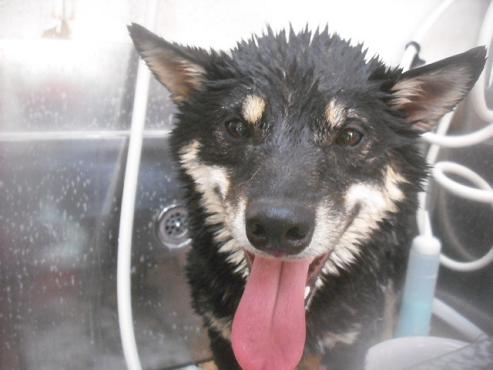 ファイル 2574-2.jpg