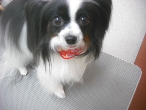 ファイル 2576-2.jpg