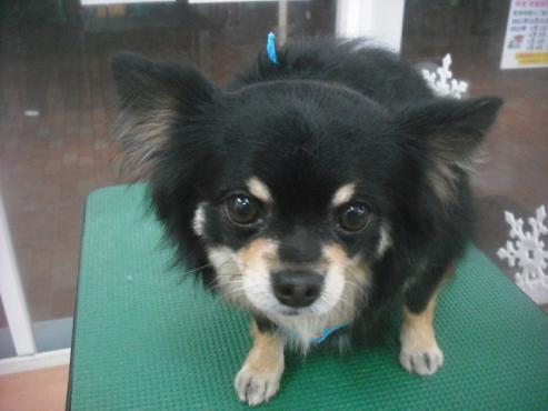 ファイル 2577-1.jpg