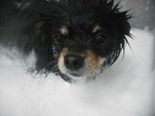 ファイル 2577-2.jpg