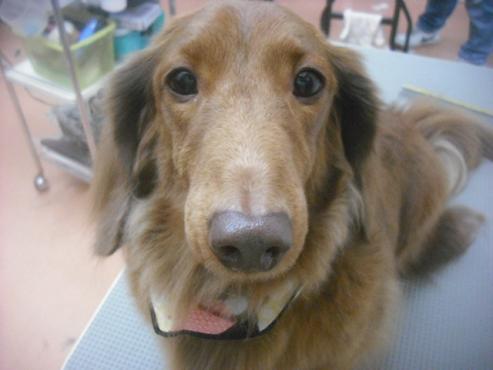 ファイル 2578-1.jpg