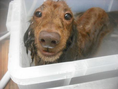 ファイル 2578-2.jpg