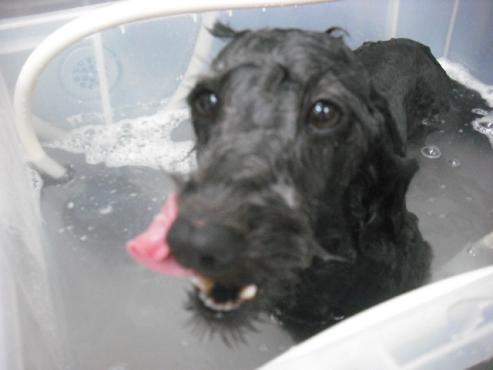 ファイル 258-2.jpg