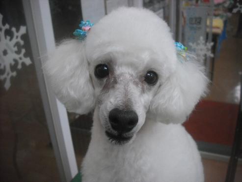 ファイル 2580-1.jpg