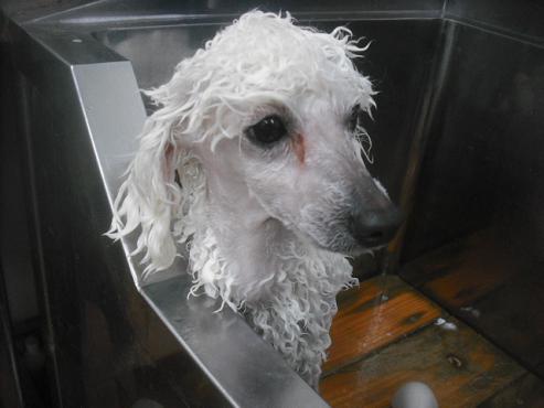 ファイル 2581-2.jpg