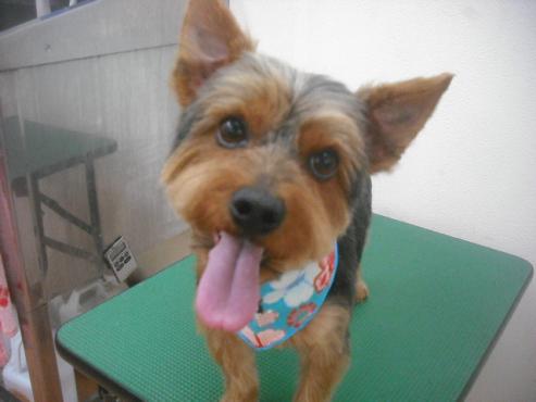 ファイル 2585-1.jpg