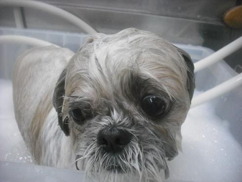 ファイル 2586-2.jpg