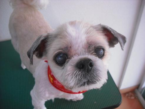 ファイル 259-1.jpg