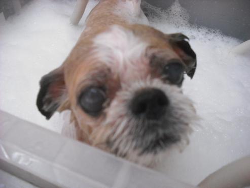 ファイル 259-2.jpg