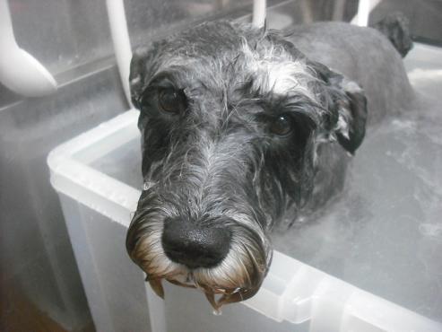 ファイル 2591-2.jpg