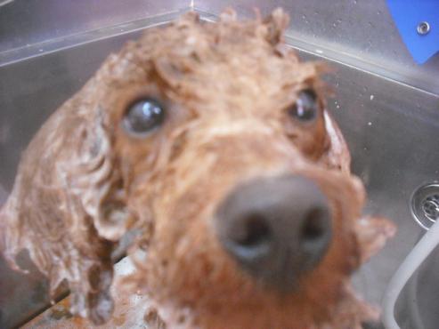 ファイル 2593-2.jpg