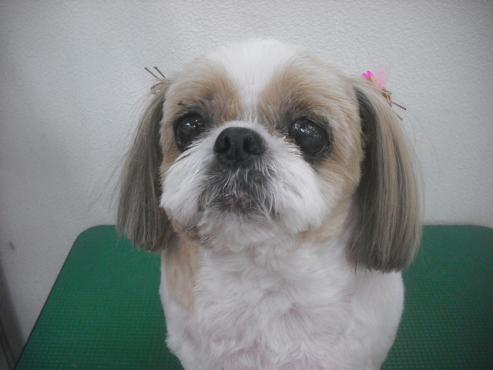 ファイル 2595-1.jpg