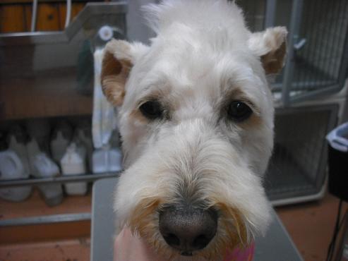 ファイル 26-1.jpg