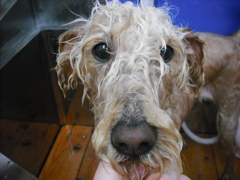 ファイル 26-2.jpg