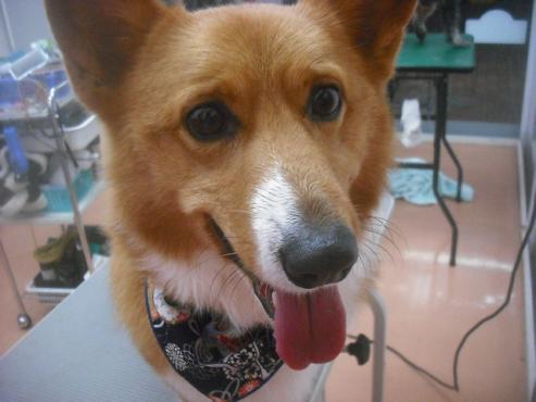 ファイル 2600-1.jpg