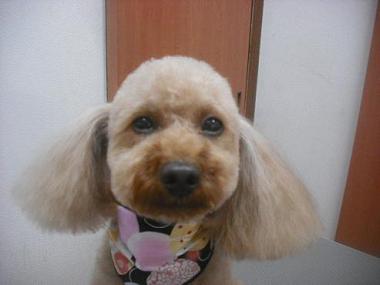 ファイル 2601-1.jpg