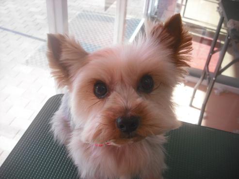 ファイル 2603-1.jpg