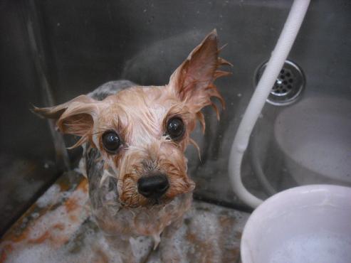 ファイル 2603-2.jpg