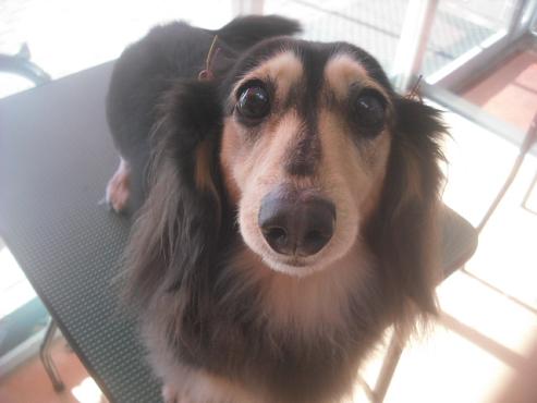 ファイル 2605-1.jpg