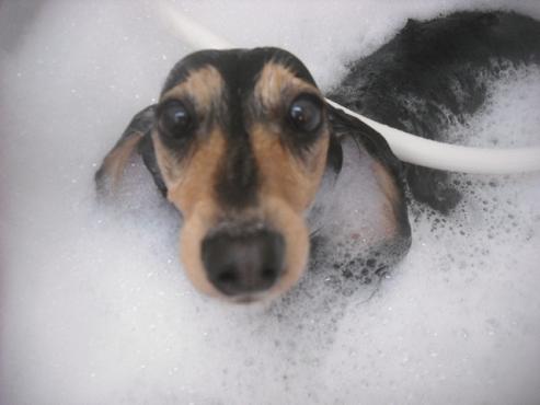 ファイル 2605-2.jpg