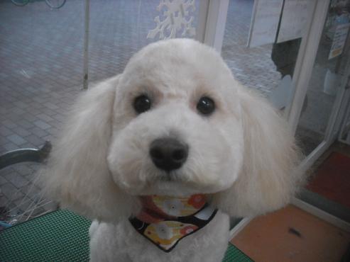 ファイル 2607-1.jpg