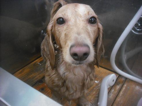 ファイル 2609-2.jpg