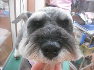 ファイル 2610-1.jpg