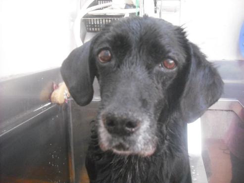 ファイル 2611-2.jpg