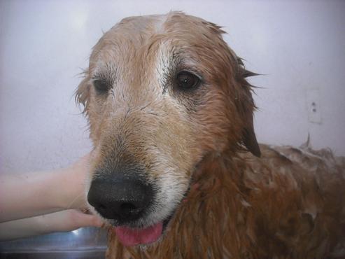 ファイル 2618-2.jpg