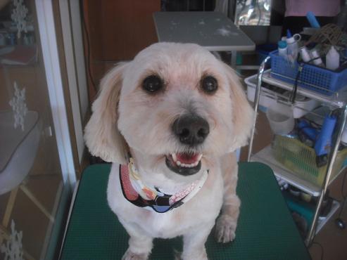 ファイル 2619-2.jpg