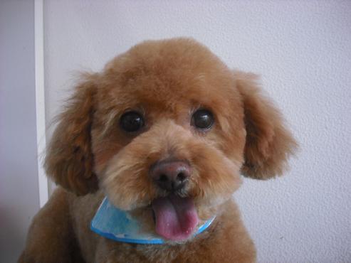 ファイル 262-1.jpg