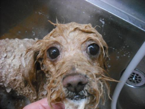 ファイル 262-2.jpg