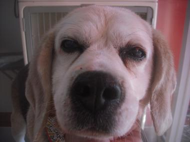 ファイル 2621-1.jpg