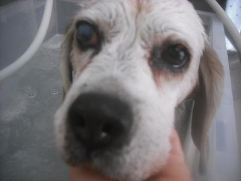 ファイル 2621-2.jpg