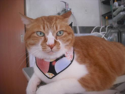 ファイル 2624-1.jpg