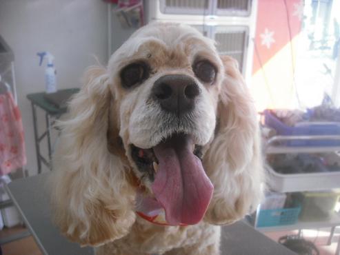 ファイル 2626-1.jpg