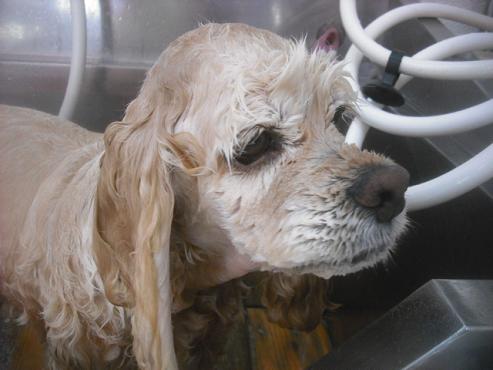 ファイル 2626-2.jpg