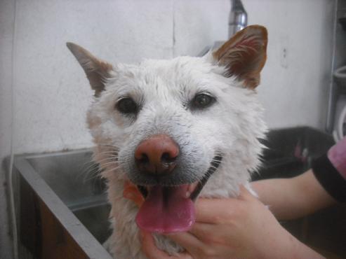 ファイル 2627-2.jpg