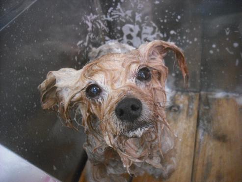 ファイル 2628-2.jpg