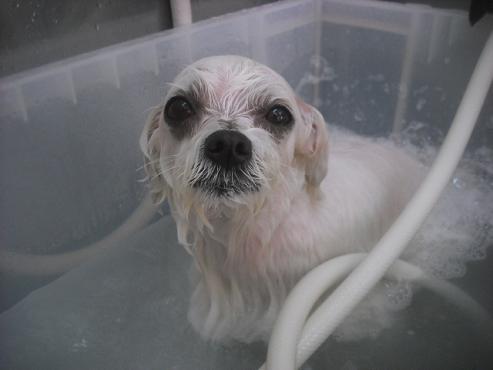 ファイル 2629-2.jpg